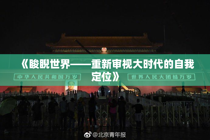 《睃睨世界——重新审视大时代的自我定位》