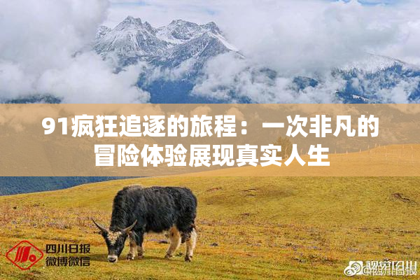 91疯狂追逐的旅程：一次非凡的冒险体验展现真实人生