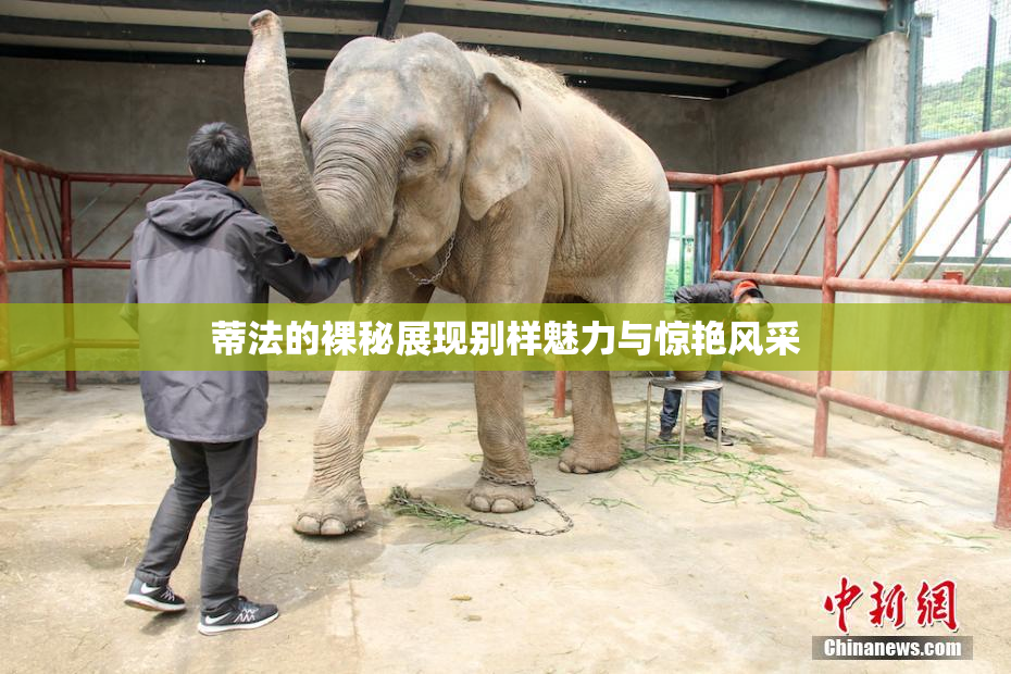 蒂法的裸秘展现别样魅力与惊艳风采