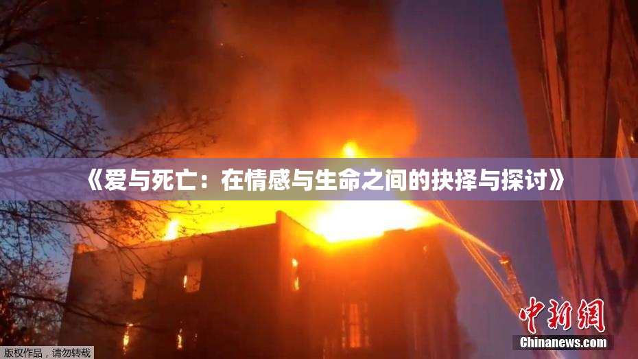《爱与死亡：在情感与生命之间的抉择与探讨》