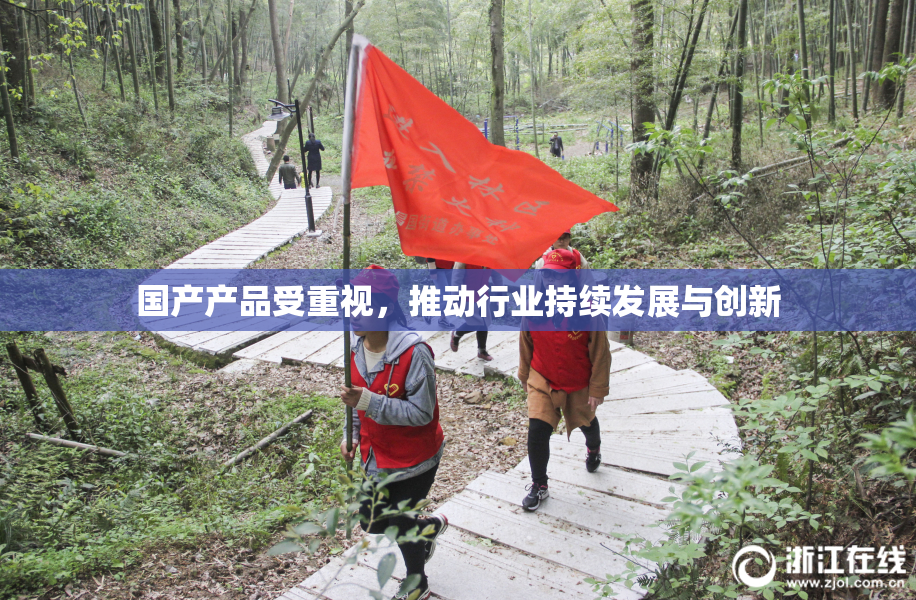 国产产品受重视，推动行业持续发展与创新