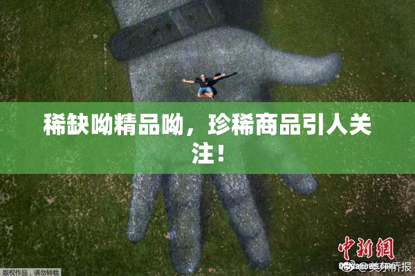 稀缺呦精品呦，珍稀商品引人关注！