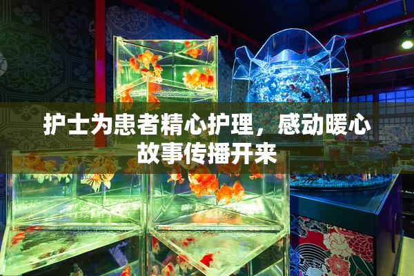 护士为患者精心护理，感动暖心故事传播开来