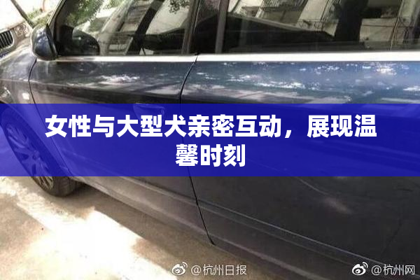 女性与大型犬亲密互动，展现温馨时刻