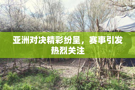 亚洲对决精彩纷呈，赛事引发热烈关注