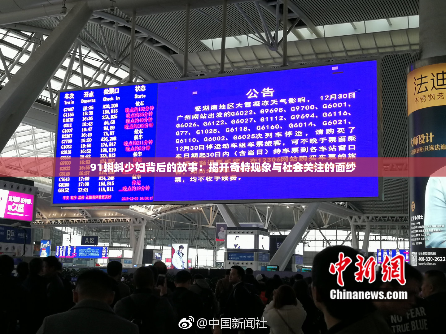 91蝌蚪少妇背后的故事：揭开奇特现象与社会关注的面纱