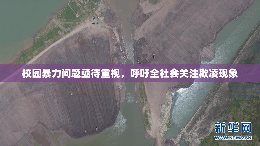 校园暴力问题亟待重视，呼吁全社会关注欺凌现象