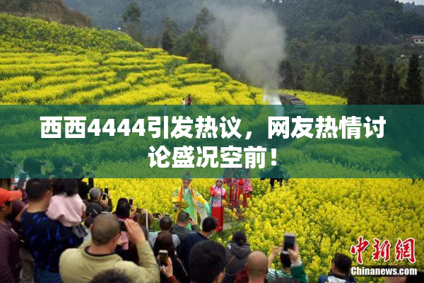 西西4444引发热议，网友热情讨论盛况空前！