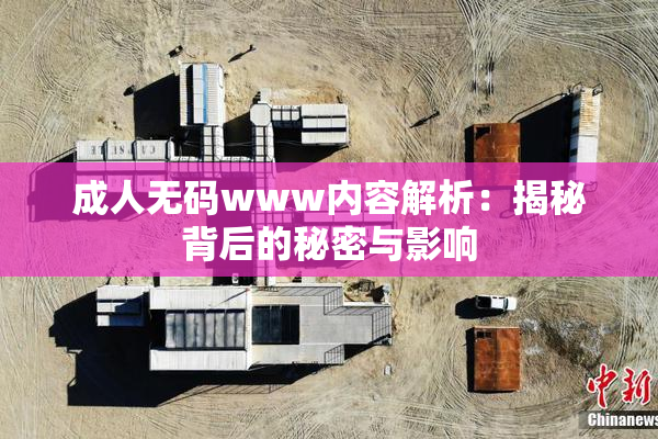成人无码www内容解析：揭秘背后的秘密与影响