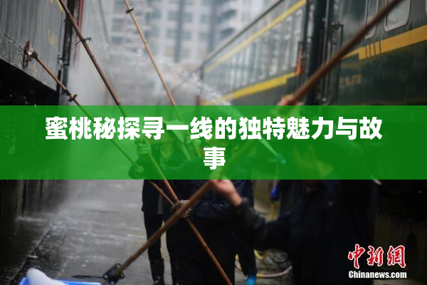 蜜桃秘探寻一线的独特魅力与故事