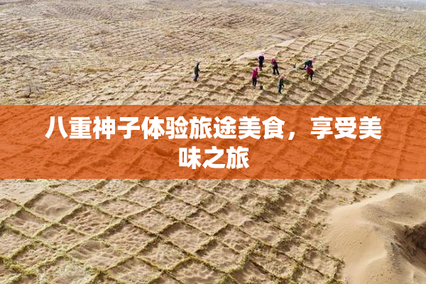 八重神子体验旅途美食，享受美味之旅