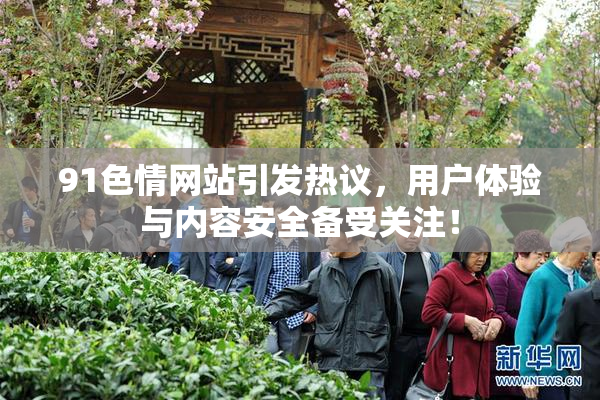 91色情网站引发热议，用户体验与内容安全备受关注！