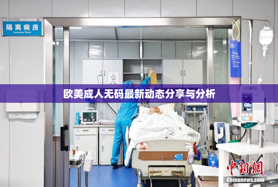 欧美成人无码最新动态分享与分析