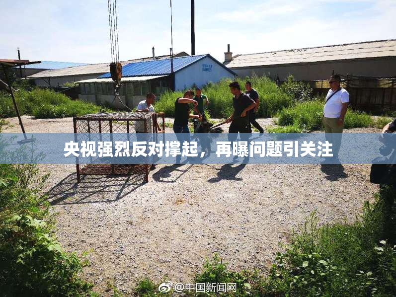 央视强烈反对撑起，再曝问题引关注