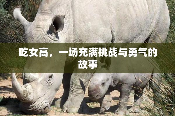 吃女高，一场充满挑战与勇气的故事