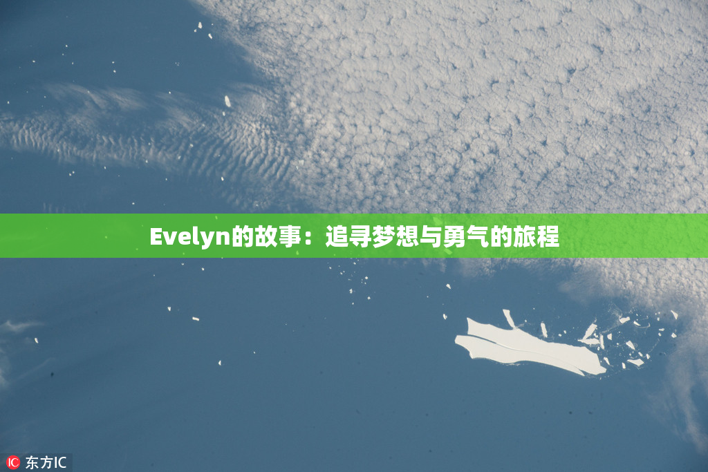 Evelyn的故事：追寻梦想与勇气的旅程