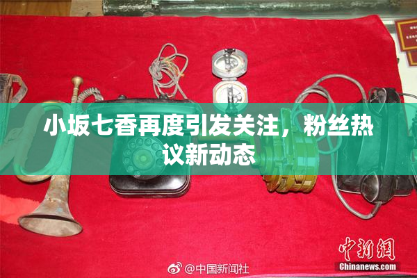 小坂七香再度引发关注，粉丝热议新动态