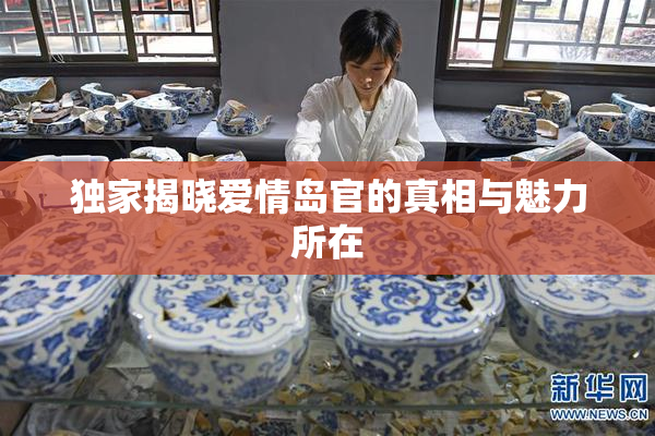 独家揭晓爱情岛官的真相与魅力所在