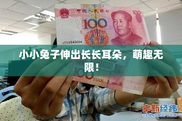 小小兔子伸出长长耳朵，萌趣无限！