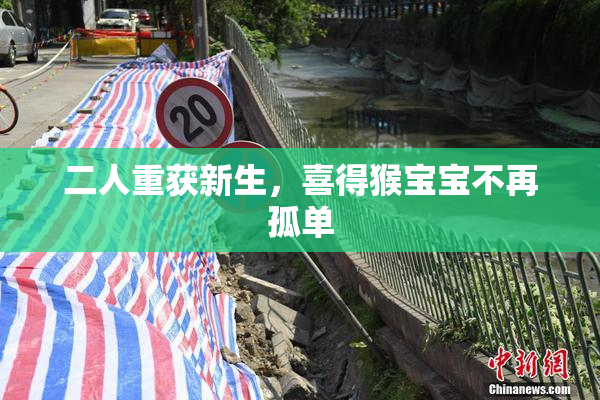 二人重获新生，喜得猴宝宝不再孤单