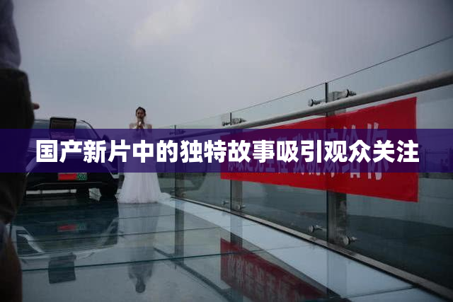 国产新片中的独特故事吸引观众关注