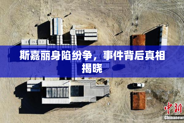 斯嘉丽身陷纷争，事件背后真相揭晓