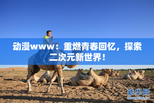 动漫www：重燃青春回忆，探索二次元新世界！