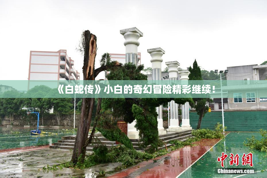 《白蛇传》小白的奇幻冒险精彩继续！