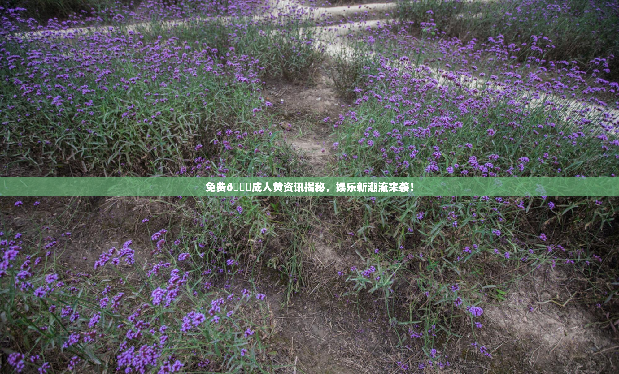 免费🔞成人黄资讯揭秘，娱乐新潮流来袭！
