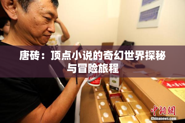 唐砖：顶点小说的奇幻世界探秘与冒险旅程
