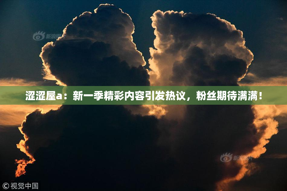 涩涩屋a：新一季精彩内容引发热议，粉丝期待满满！