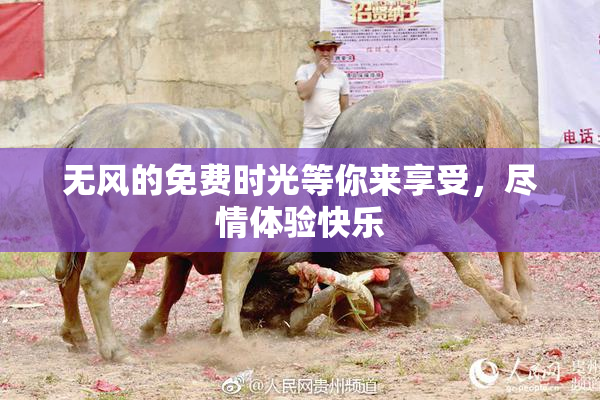 无风的免费时光等你来享受，尽情体验快乐
