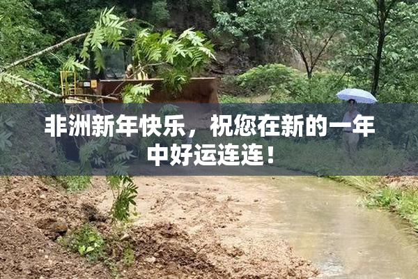 非洲新年快乐，祝您在新的一年中好运连连！