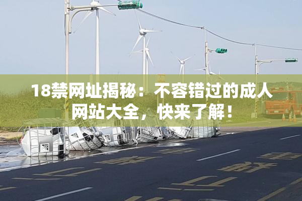 18禁网址揭秘：不容错过的成人网站大全，快来了解！