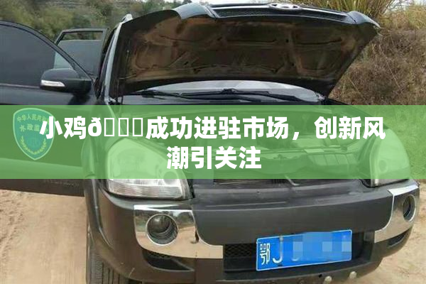小鸡🐔成功进驻市场，创新风潮引关注