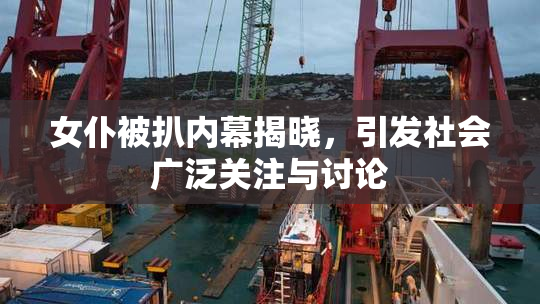 女仆被扒内幕揭晓，引发社会广泛关注与讨论