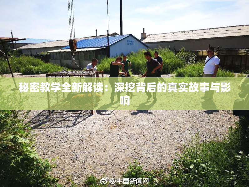 秘密教学全新解读：深挖背后的真实故事与影响