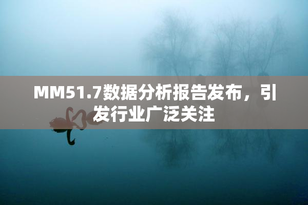 MM51.7数据分析报告发布，引发行业广泛关注