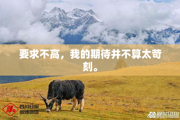 要求不高，我的期待并不算太苛刻。