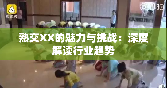 熟交XX的魅力与挑战：深度解读行业趋势