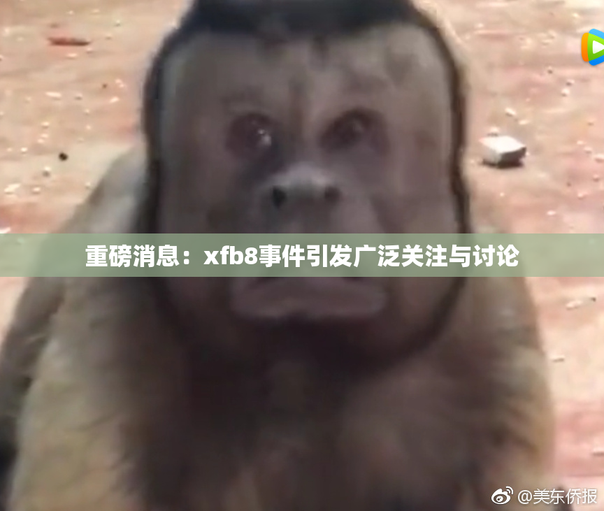 重磅消息：xfb8事件引发广泛关注与讨论