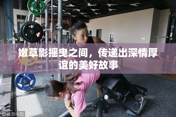 嫩草影摇曳之间，传递出深情厚谊的美好故事
