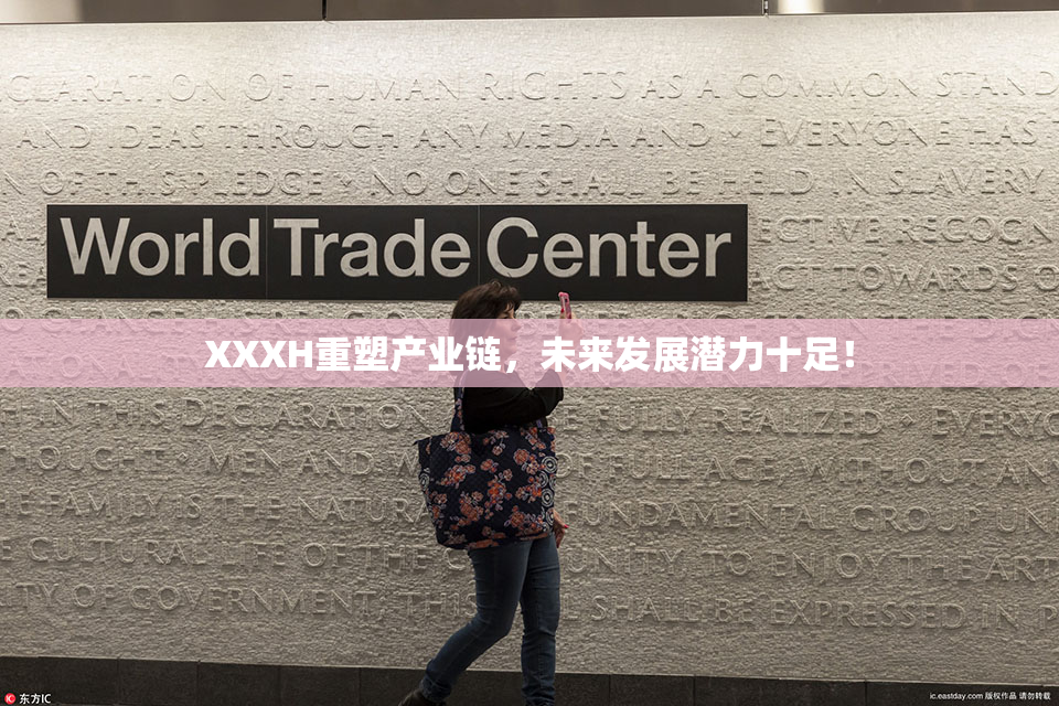 XXXH重塑产业链，未来发展潜力十足！