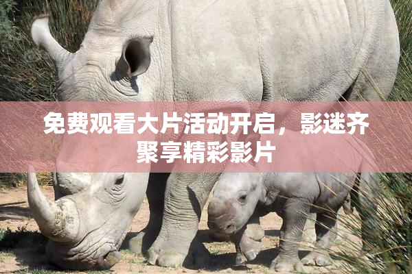 免费观看大片活动开启，影迷齐聚享精彩影片