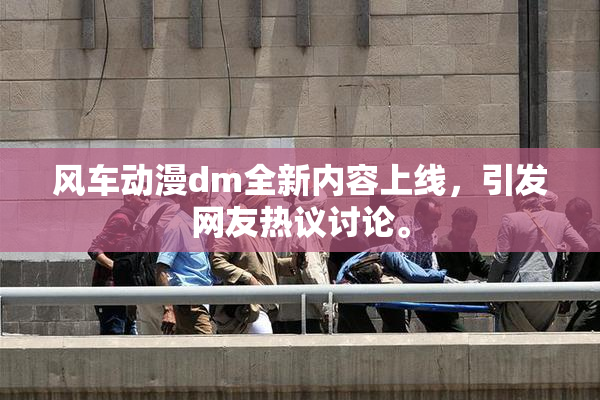 风车动漫dm全新内容上线，引发网友热议讨论。