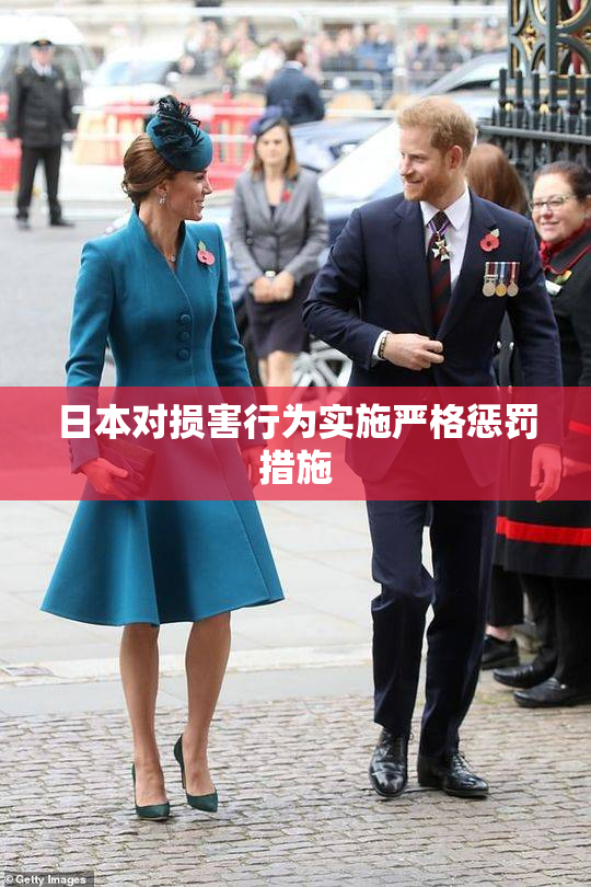 日本对损害行为实施严格惩罚措施