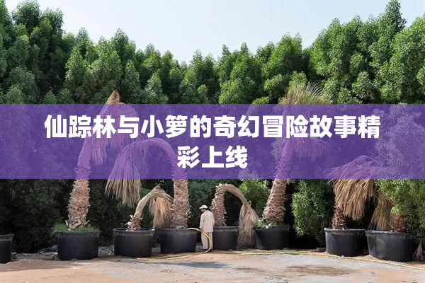 仙踪林与小箩的奇幻冒险故事精彩上线