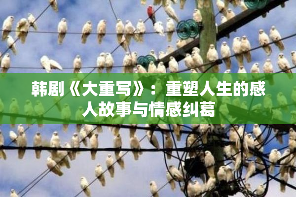韩剧《大重写》：重塑人生的感人故事与情感纠葛