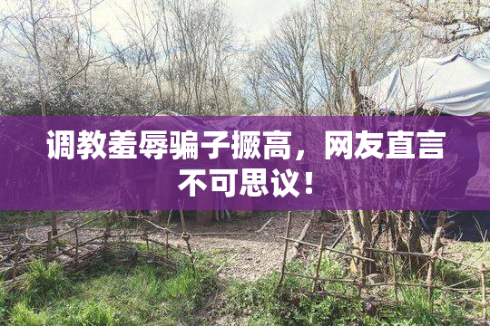 调教羞辱骗子撅高，网友直言不可思议！