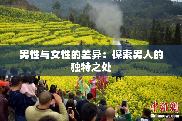 男性与女性的差异：探索男人的独特之处